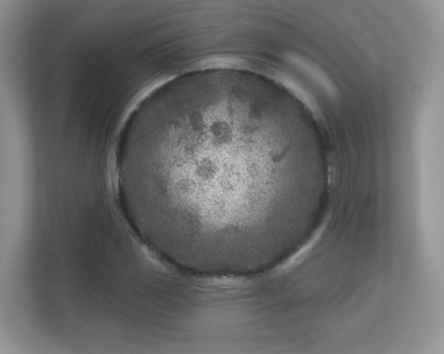 X0000110921117200906251412