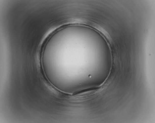 X0000110921120200906251412