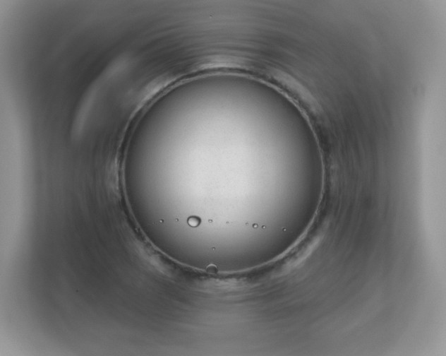 X0000110921121200906251412