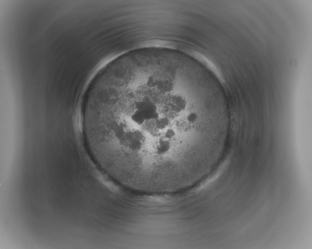X0000110921125200906251413
