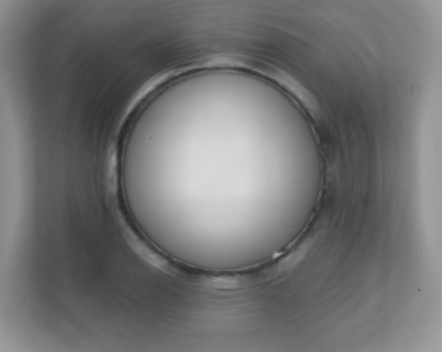 X0000110921126200906251413