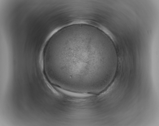 X0000110921127200906251413