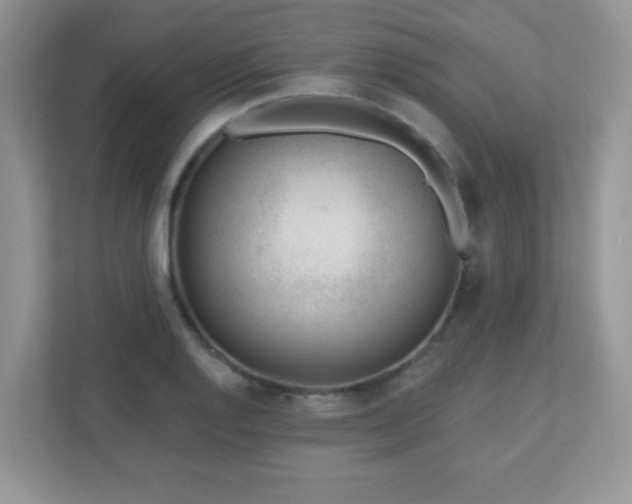 X0000110921128200906251413