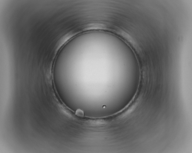 X0000110921129200906251413