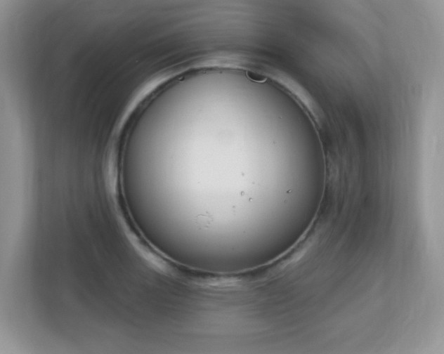 X0000110921131200906251413