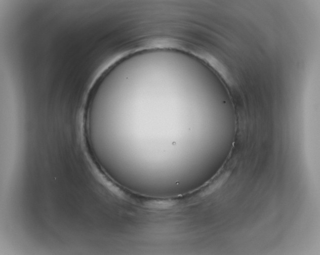 X0000110921134200906251413