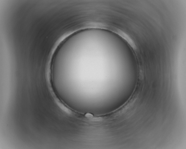 X0000110921136200906251413