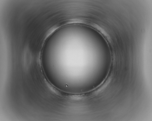X0000110921137200906251413