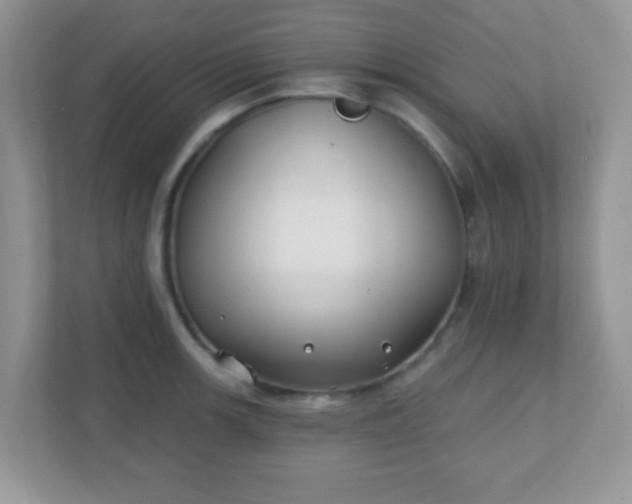 X0000110921139200906251413