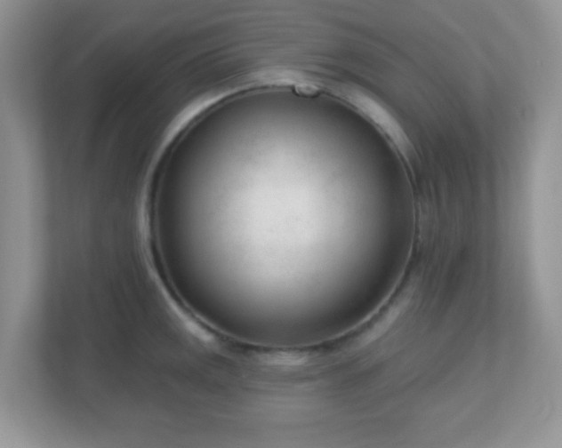 X0000110921141200906251413