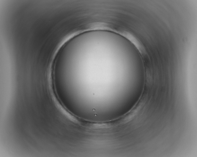 X0000110921142200906251413