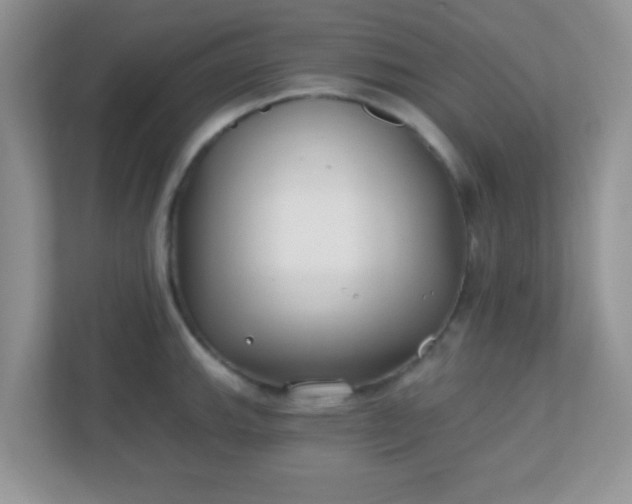 X0000110921143200906251413