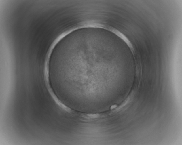 X0000110921144200906251413