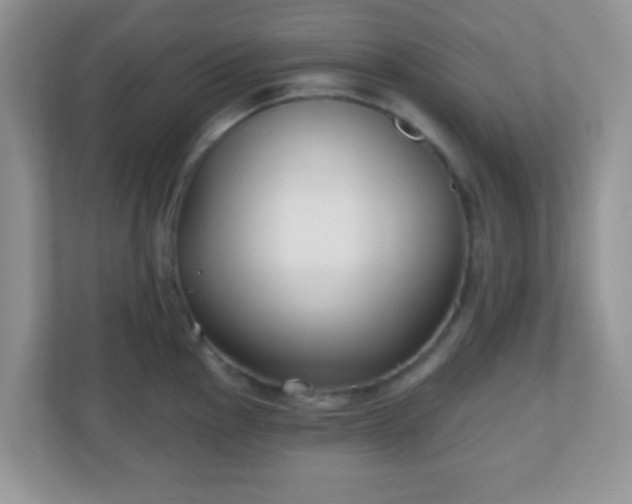 X0000110921145200906251413