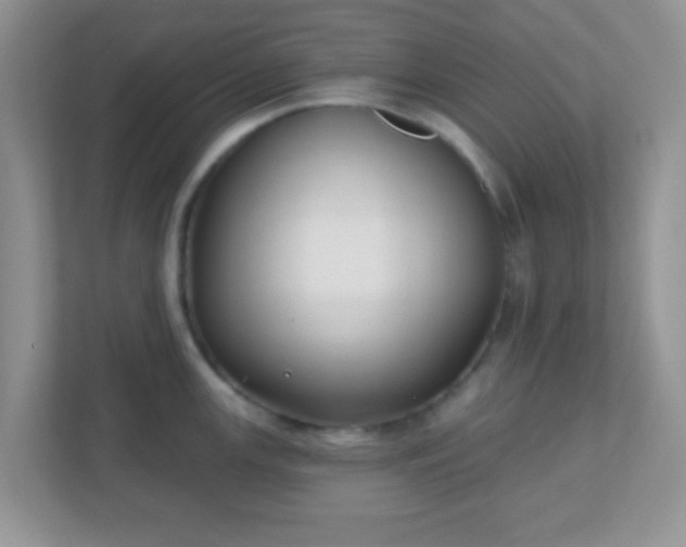 X0000110921147200906251413