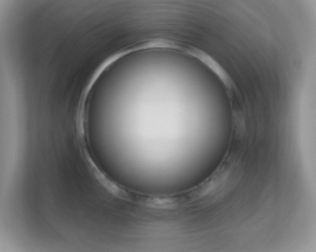 X0000110921148200906251413