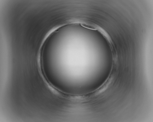 X0000110921149200906251413