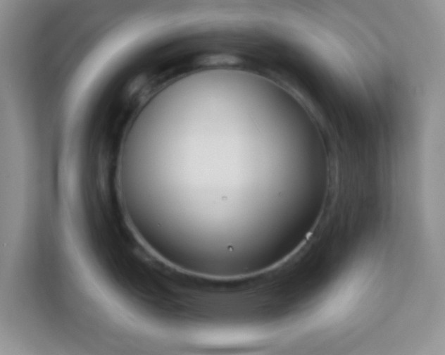 X0000110921151200906251413