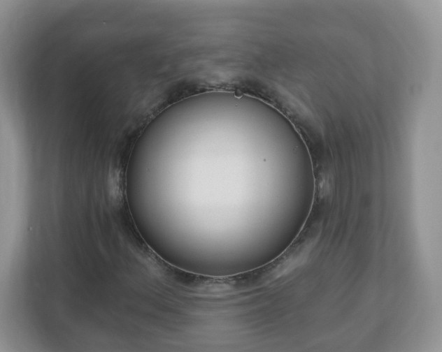 X0000110921156200906251412