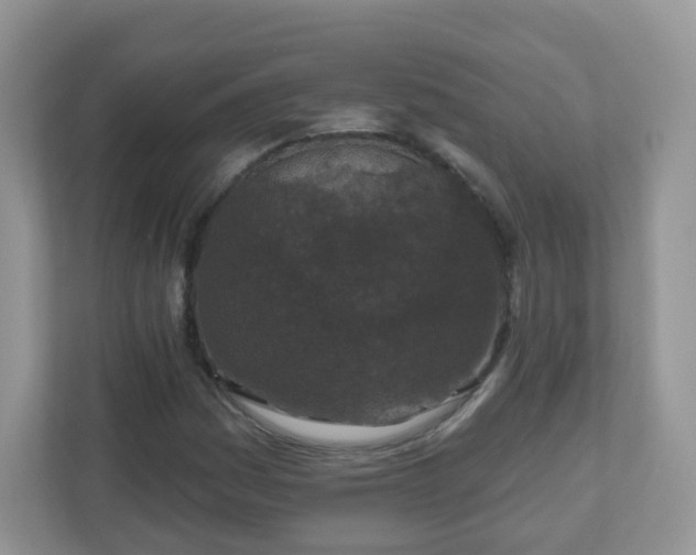 X0000110921161200906251412