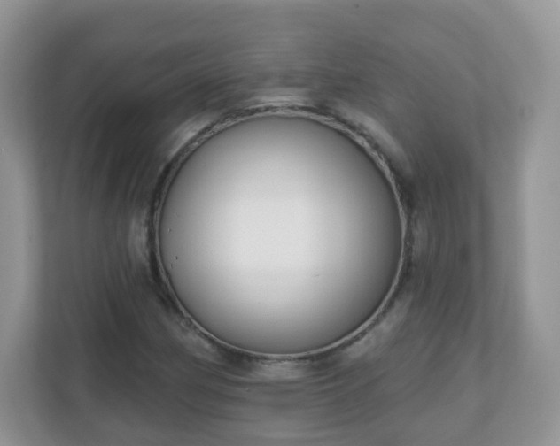 X0000110921162200906251412
