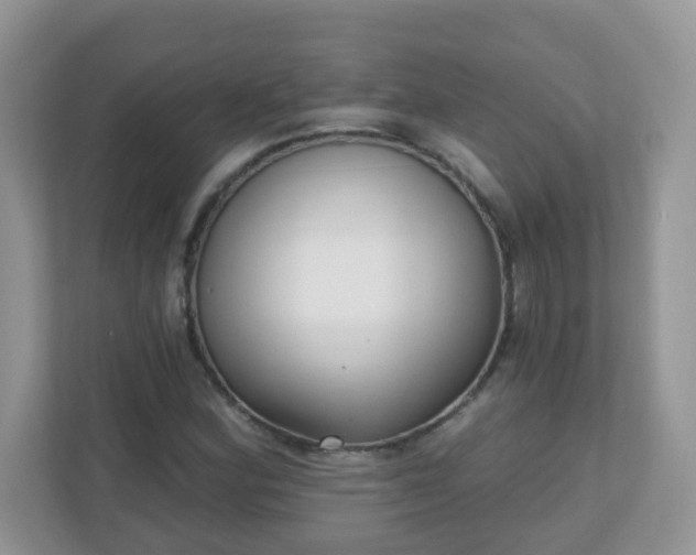 X0000110921164200906251412