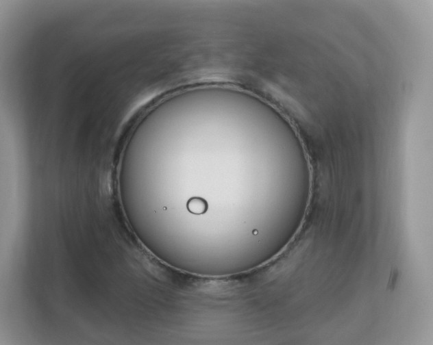 X0000110921166200906251412