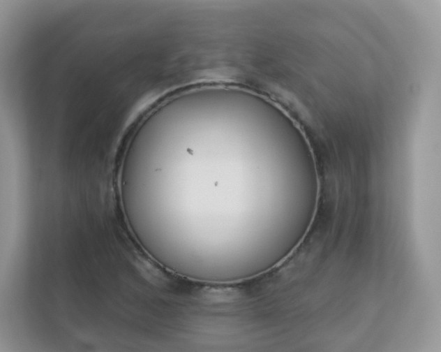 X0000110921168200906251412