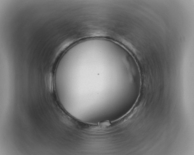 X0000110921171200906251412