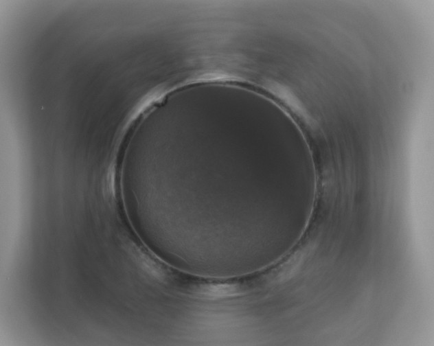 X0000110921173200906251412