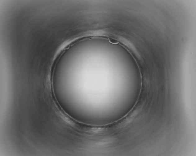 X0000110921176200906251412