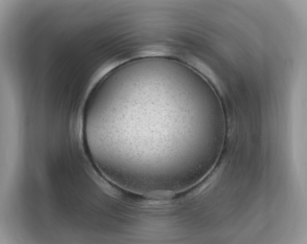 X0000110921179200906251412