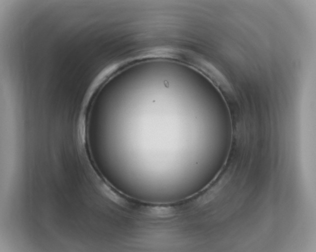 X0000110921180200906251412