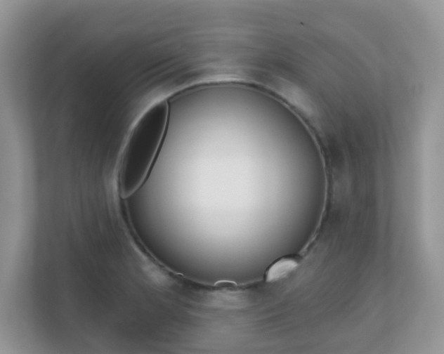 X0000110921181200906251412