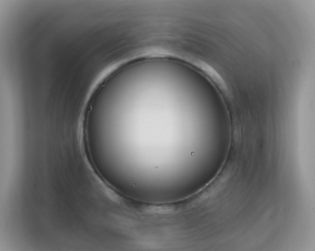 X0000110921183200906251412