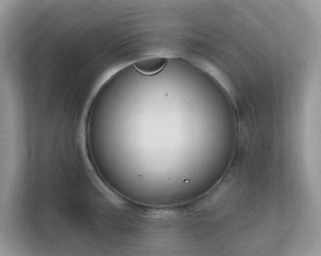 X0000110921187200906251412