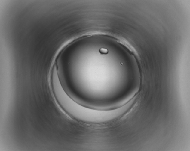 X0000110921189200906251412