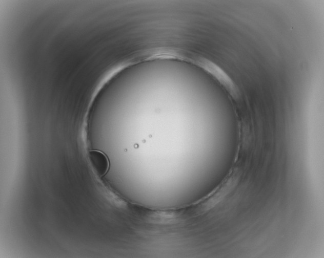 X0000110921190200906251412