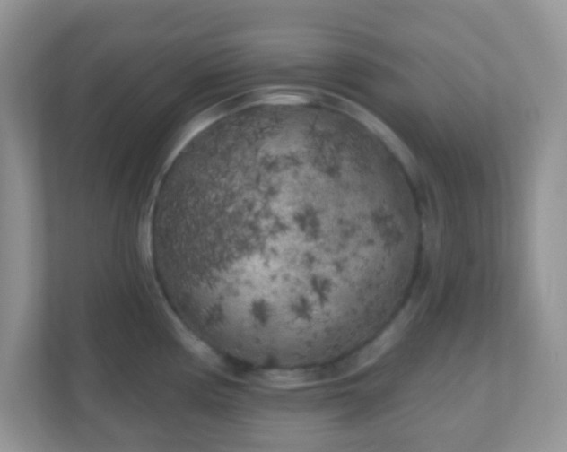 X0000110921194200906251412