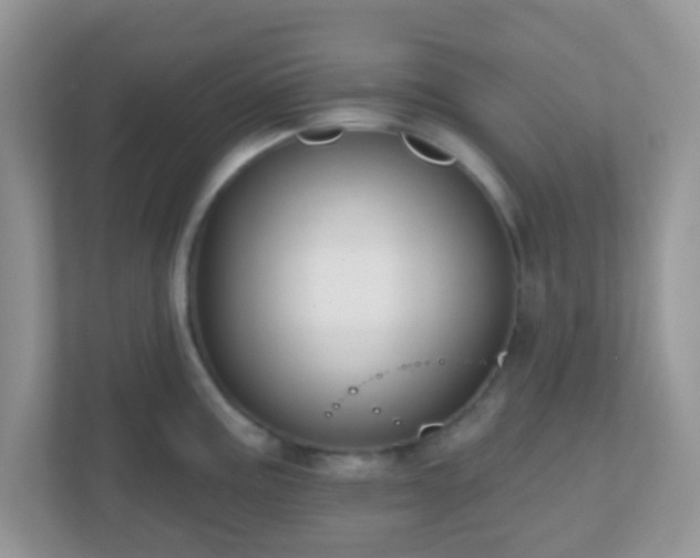 X0000110921195200906251412