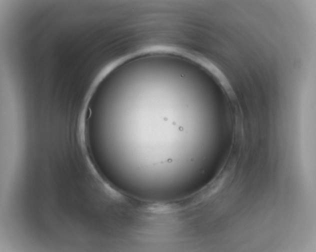 X0000110921199200906251412