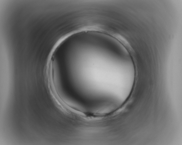 X0000110921200200906251412