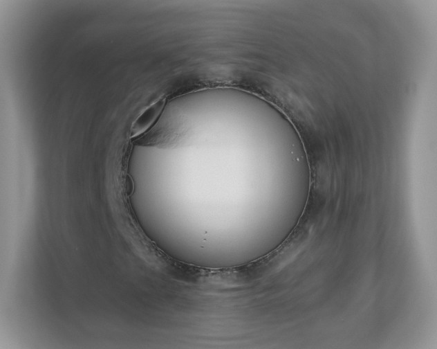 X0000110921201200906251411