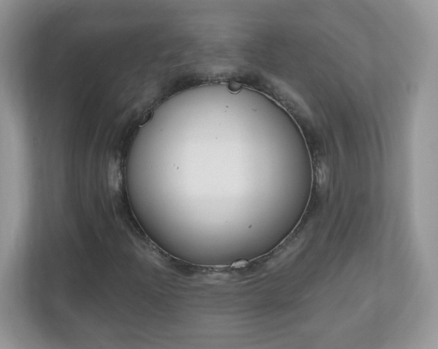 X0000110921204200906251411