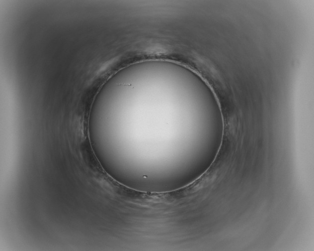 X0000110921205200906251411