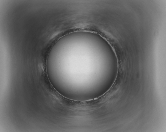 X0000110921206200906251411