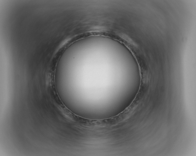 X0000110921208200906251411