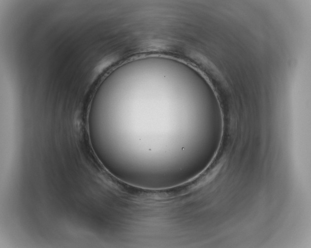 X0000110921210200906251411