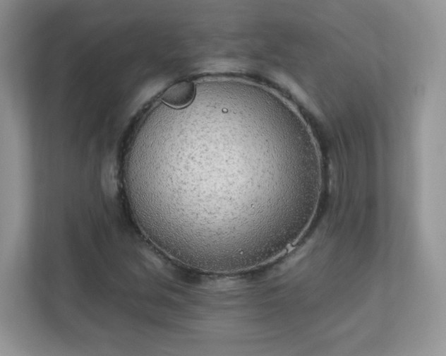X0000110921213200906251411