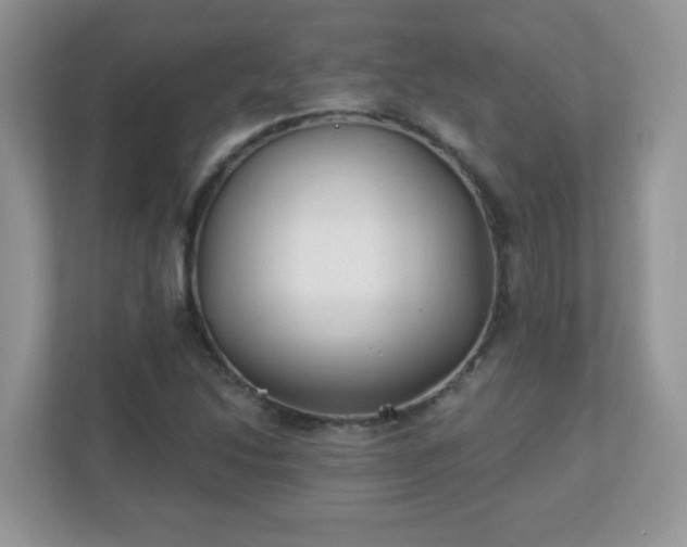 X0000110921214200906251411